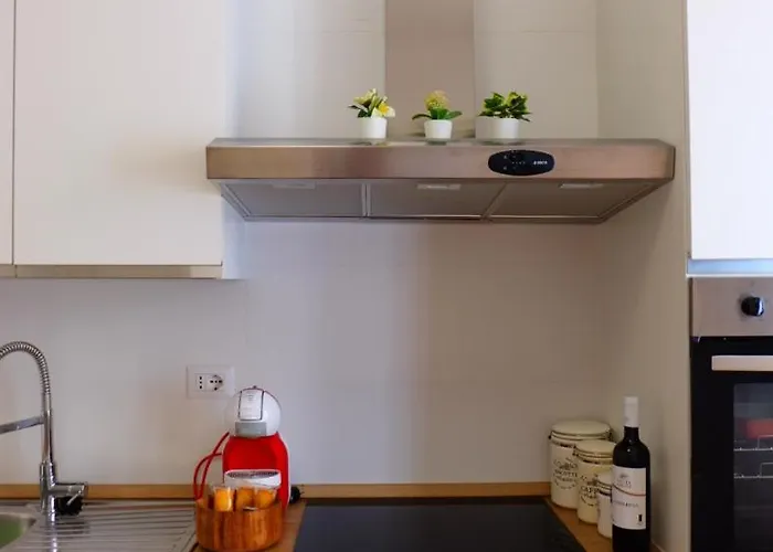 Apartment Vaschome *